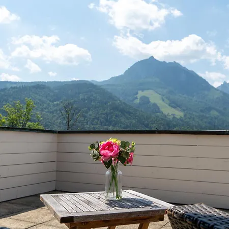 Penthouse Deluxe Mit Galerie By Interhome * Strobl