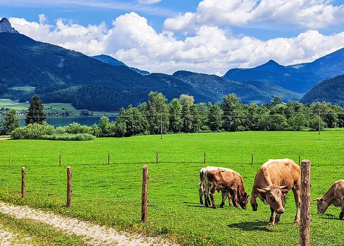 Penthouse Deluxe Mit Galerie By Interhome Apartmán